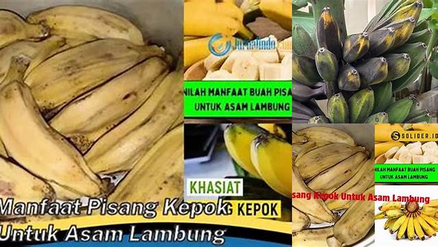 Temukan Manfaat Pisang Kepok untuk Asam Lambung yang Jarang Diketahui