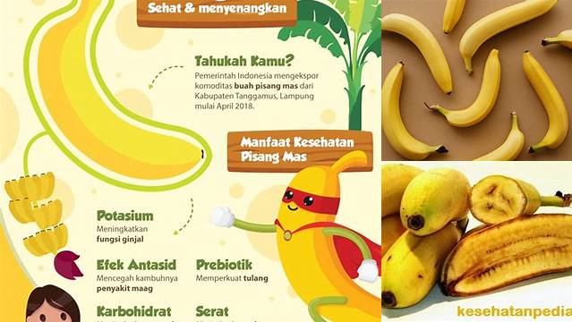 5 Manfaat Pisang Mas yang Baru Terungkap, Jarang Diketahui