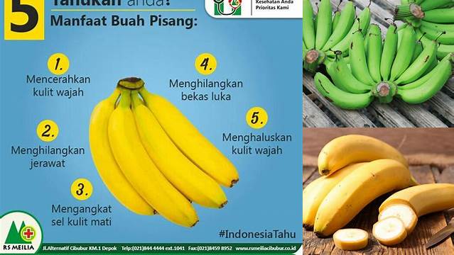 Temukan Manfaat Pisang Uli yang Jarang Diketahui untuk Kesehatan Anda!