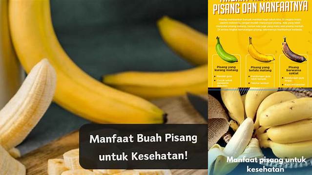 Temukan 10 Manfaat Mengejutkan Pisang untuk Pencernaan Sehat