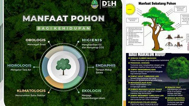 Temukan Rahasia Manfaat Pohon Bagi Manusia yang Jarang Diketahui