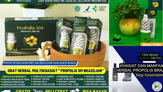 Temukan Khasiat Propolis Brazil yang Perlu Anda Tahu