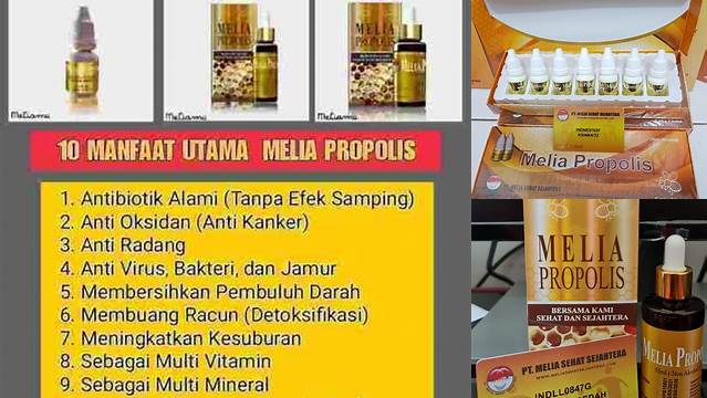 Temukan Khasiat Propolis Melia yang Jarang Diketahui