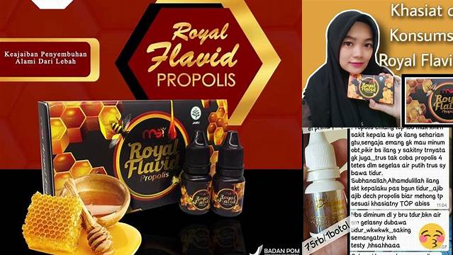 Temukan Manfaat Propolis MSI Yang Jarang Diketahui