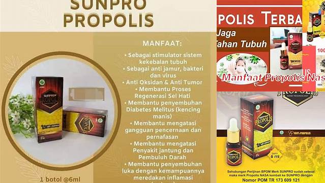 Temukan 7 Manfaat Propolis NASA yang Jarang Diketahui