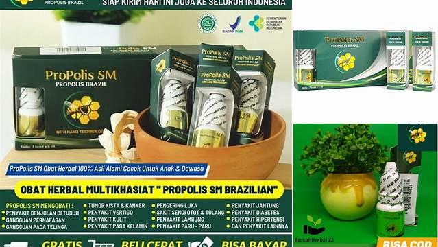 Temukan Manfaat Propolis SM Brazil yang Tak Terduga