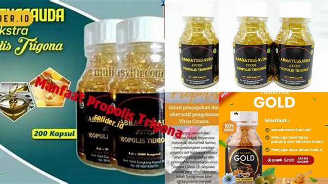 Temukan 7 Manfaat Propolis Trigona yang Jarang Diketahui