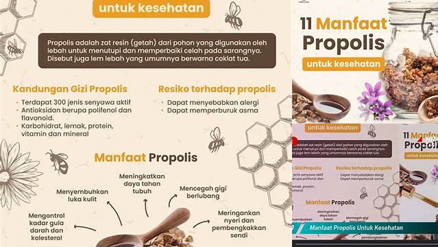 Manfaat Propolis untuk Kesehatan yang Jarang Diketahui