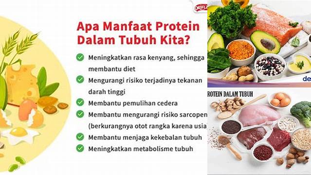 Temukan 8 Manfaat Protein untuk Tubuh Anda