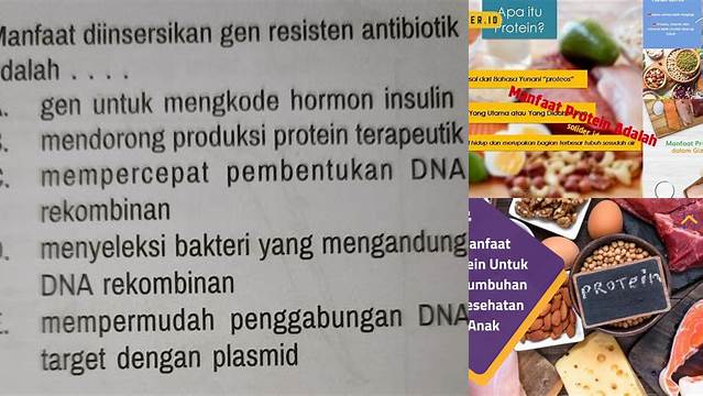 5 Manfaat Protein Terapeutik yang Jarang Diketahui