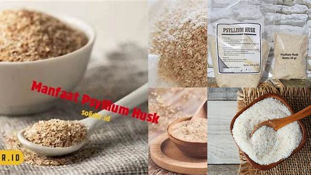 Temukan Manfaat Psyllium Husk yang Jarang Diketahui, Anda Perlu Tahu!