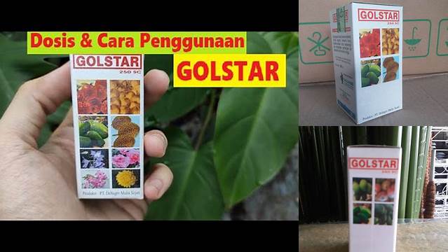 Temukan Manfaat Pupuk Goldstar yang Jarang Diketahui dan Wajib Anda Ketahui