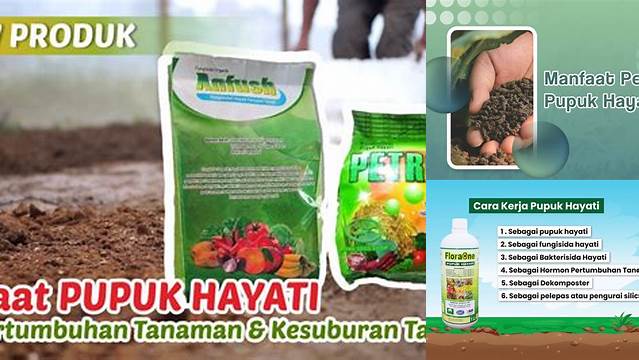 Temukan Kekuatan Pupuk Hayati: 10 Manfaat yang Jarang Diketahui