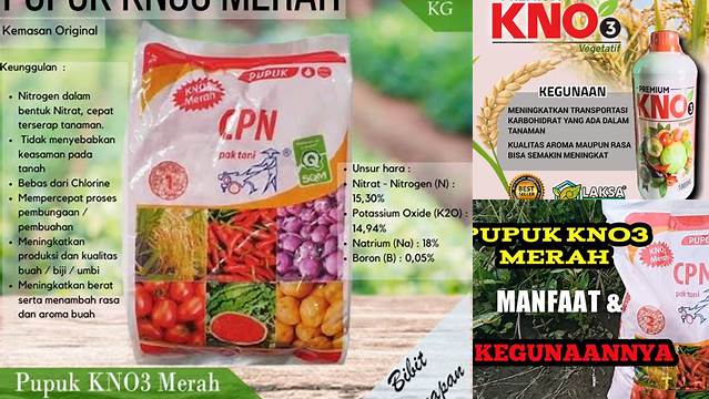 Temukan Manfaat Pupuk KNO3 Merah yang Jarang Diketahui!