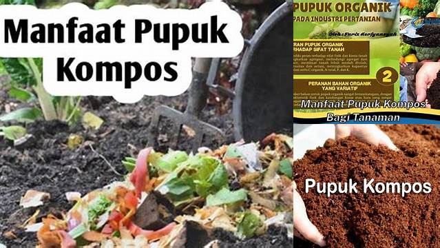 5 Manfaat Pupuk Kompos untuk Tanaman