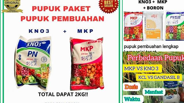 Temukan 10 Manfaat Pupuk MKP dan KNO3 yang Jarang Diketahui Petani
