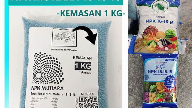 Temukan Manfaat Pupuk NPK 16 16 16 yang Menakjubkan untuk Pertanian Anda