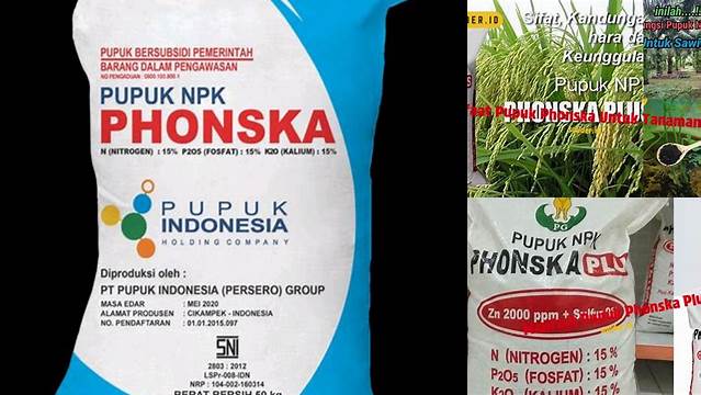 Temukan Manfaat Pupuk Phonska Yang Jarang Diketahui