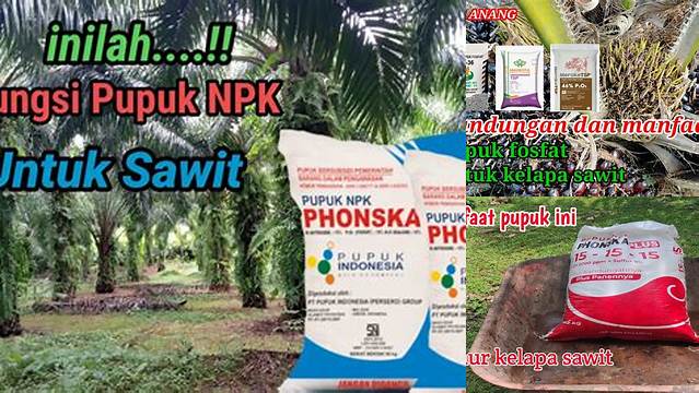 Temukan 8 Manfaat Pupuk Phonska untuk Sawit yang Jarang Diketahui