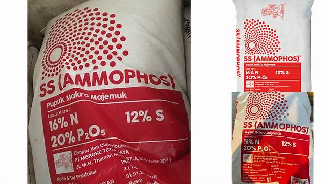 Temukan Manfaat Pupuk SS Ammophos yang Mengejutkan