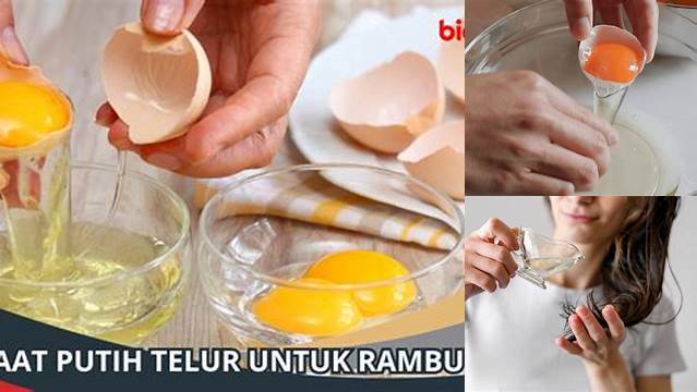 Temukan Beragam Manfaat Ajaib Putih Telur untuk Rambut yang Jarang Diketahui