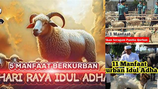 Temukan Segudang Manfaat Qurban Idul Adha yang Jarang Diketahui!