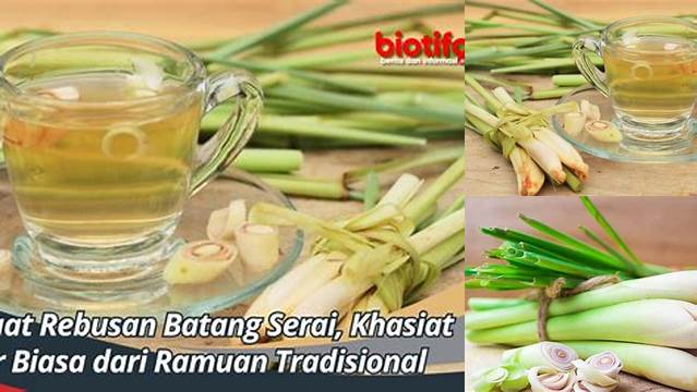 8 Manfaat Rebusan Batang Serai untuk Kesehatan Tubuh dan Kecantikan