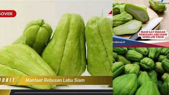 9 Manfaat Rebusan Labu Siam, Khasiat Tersembunyi Bagi Kesehatan