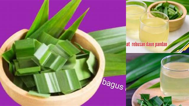 10 Manfaat manfaat rebusan pandan untuk kesehatan tubuh