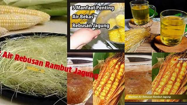 Temukan 8 Khasiat Rebusan Rambut Jagung yang Jarang Diketahui