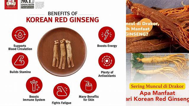 10 Manfaat Red Ginseng yang Jarang Diketahui dan Menjanjikan Penemuan Baru
