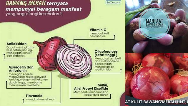 Manfaat Remazole untuk Bawang Merah yang Jarang Diketahui