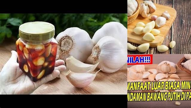 Temukan Manfaat Rendaman Bawang Putih yang Jarang Diketahui