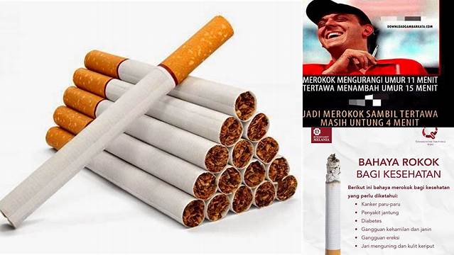 Manfaat Rokok Bagi Kesehatan yang Jarang Diketahui