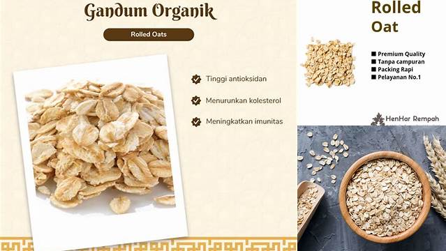 Temukan Manfaat Rolled Oat yang Jarang Diketahui untuk Gaya Hidup Lebih Sehat