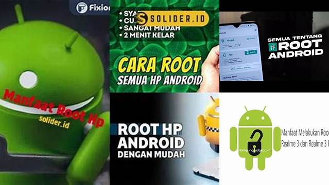 Manfaat Root HP yang Tak Banyak Diketahui yang Wajib Kamu Tahu