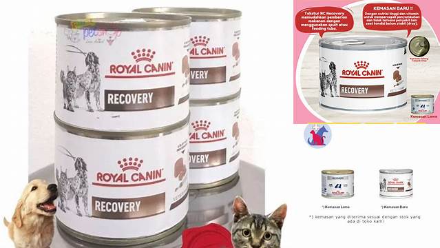 Temukan 10 Manfaat Royal Canin Recovery yang Jarang Diketahui