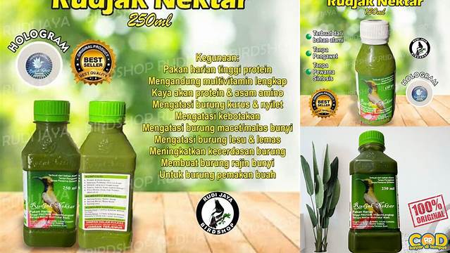 Temukan 10 Manfaat Rujak Nektar yang Jarang Diketahui