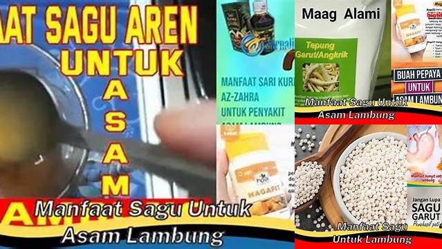 Temukan Manfaat Sagu untuk Asam Lambung yang Jarang Diketahui