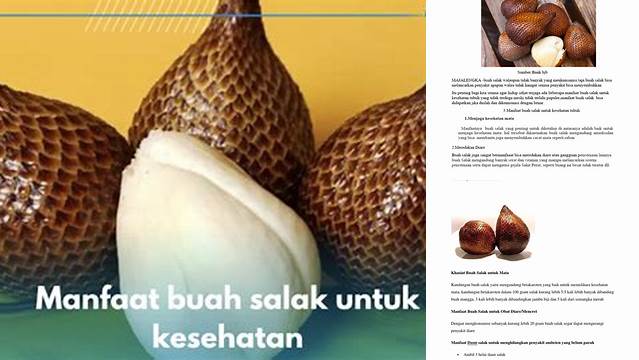 Temukan Rahasia Manfaat Salak untuk Diare yang Jarang Diketahui