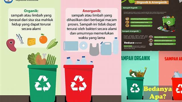 Temukan Manfaat Sampah Organik dan Anorganik yang Jarang Diketahui