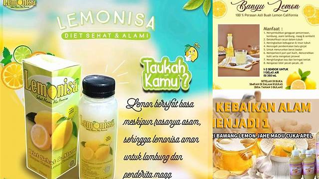 Temukan 7 Manfaat Sari Lemon yang Jarang Diketahui