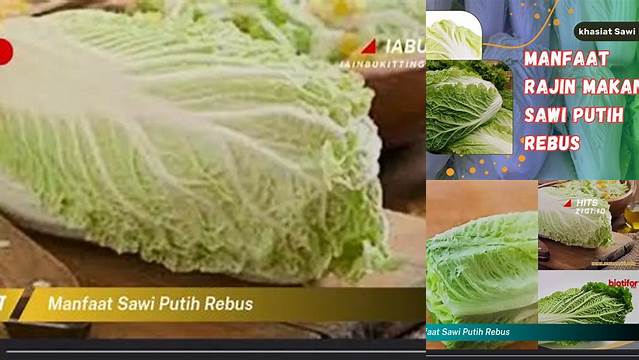 Temukan Manfaat Sawi Putih Rebus yang Jarang Diketahui