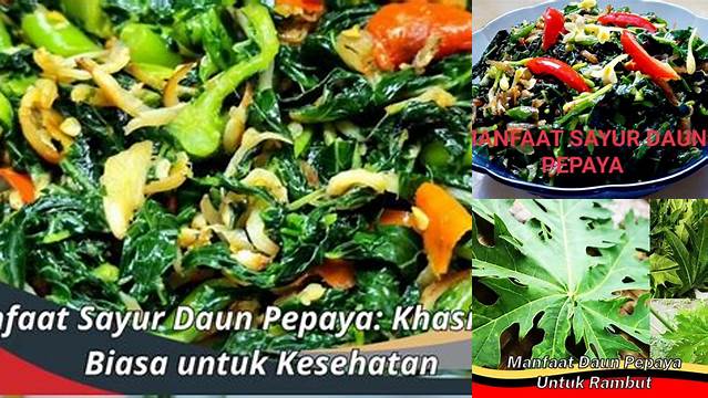 Temukan 10 Manfaat Sayur Daun Pepaya yang Jarang Diketahui