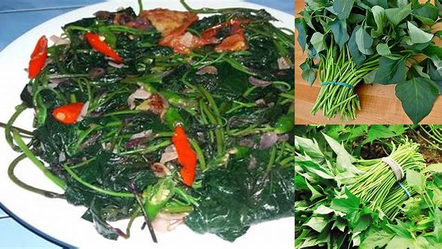 Temukan 10 Manfaat Sayur Daun Ubi Jalar yang Jarang Diketahui