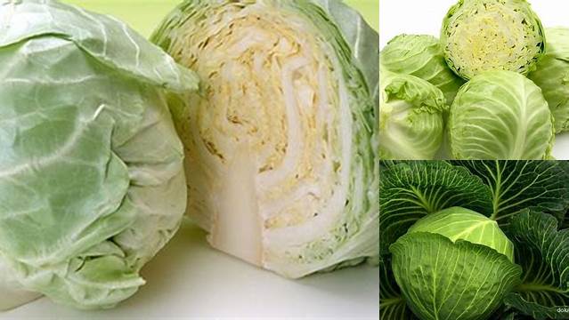 Manfaat Sayur Kol Mentah yang Jarang Diketahui, Dijamin Bikin Tercengang!