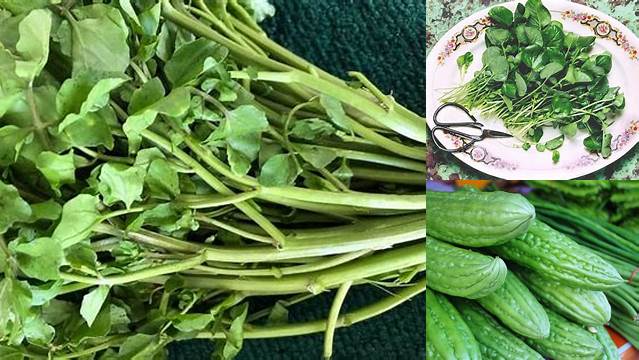 Manfaat Sayur Pare yang Jarang Diketahui, Anda Perlu Tahu!