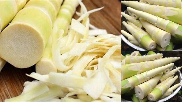 9 Manfaat Sayur Rebung Yang Jarang Diketahui