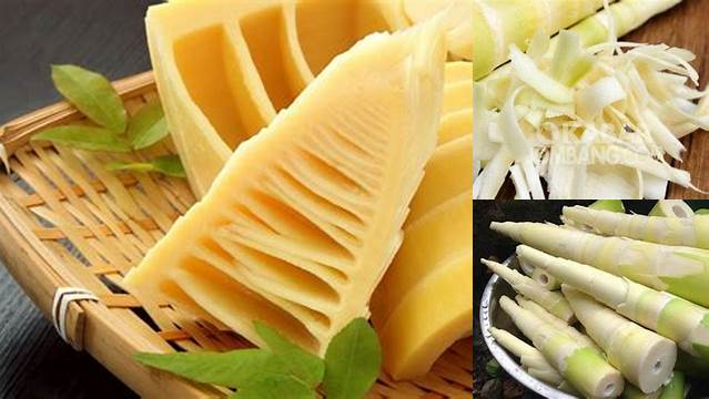 Manfaat Sayur Rebung Untuk Kesehatan Yang Jarang Diketahui