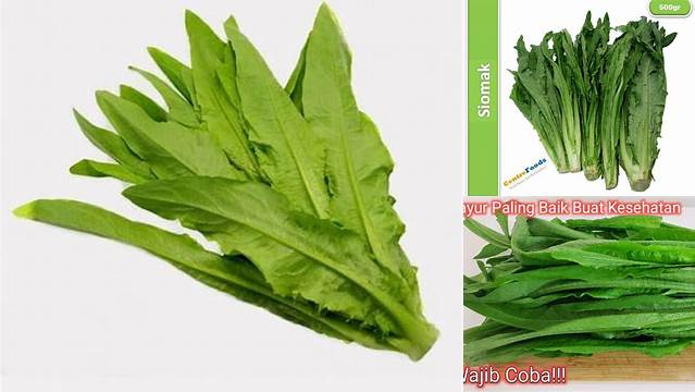 Temukan Manfaat Sayur Siomak yang Jarang Diketahui